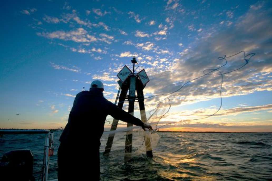 Naples Backwater Fishing Charters with Capt. Ben Geroy