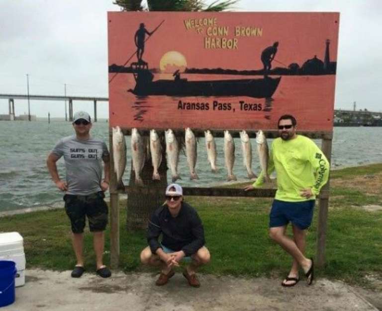 Tooth and Scale Guide Service