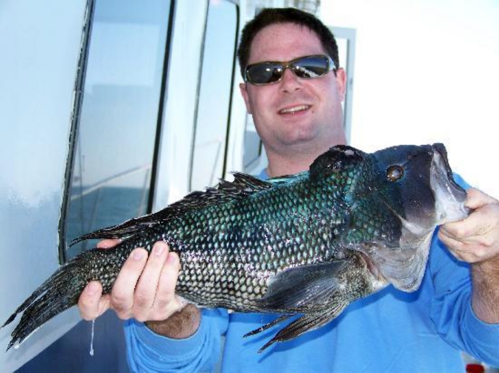Captain Bill Buntings Angler Fishing Saltwater Fishing Bluefish