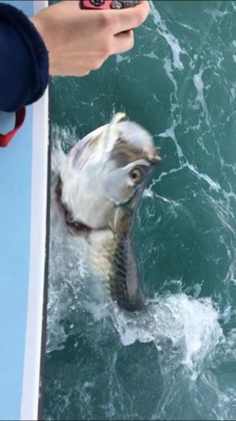 Wayne Gatling Guide Service