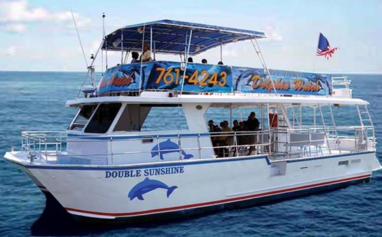 The Original Dolphin Watch