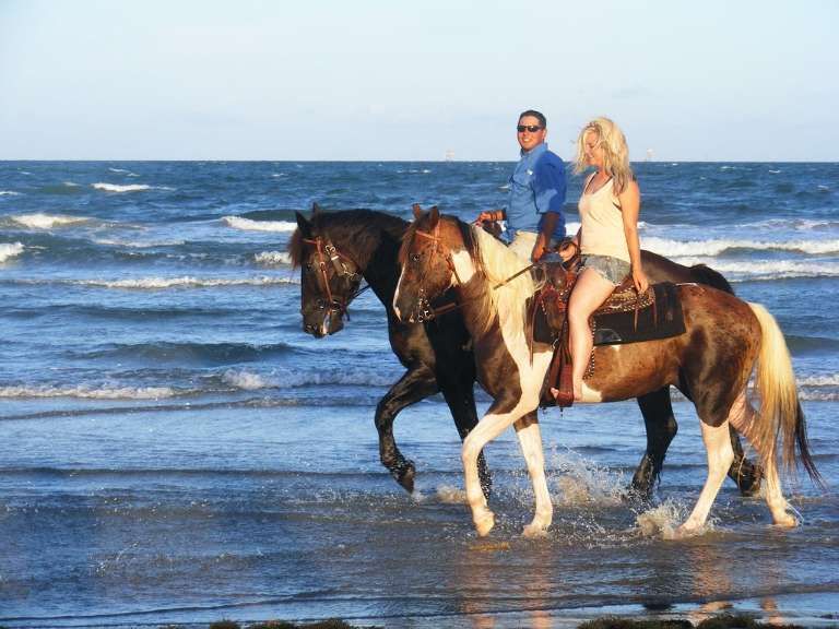 Horses On The Beach: Corpus Christi
