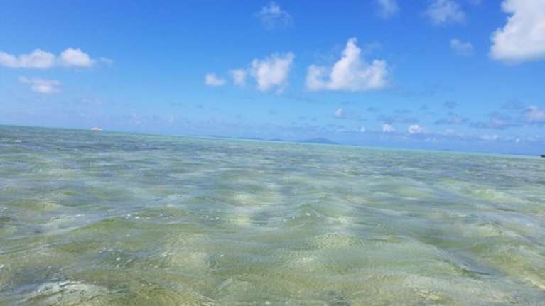 CaribeSail Adventures