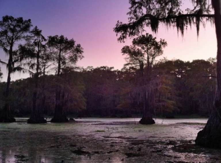 Caddo Outback Backwater Tours
