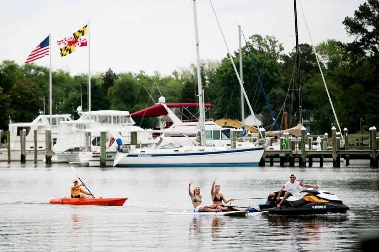 Shore Pedal and Paddle