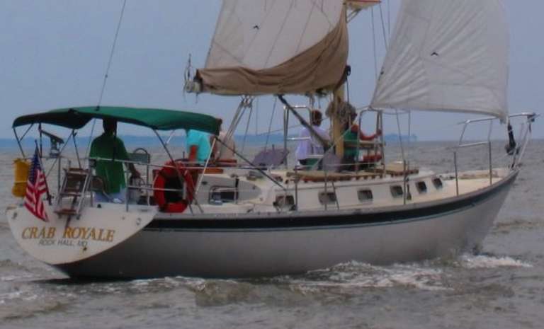 Blue Crab Chesapeake Charters