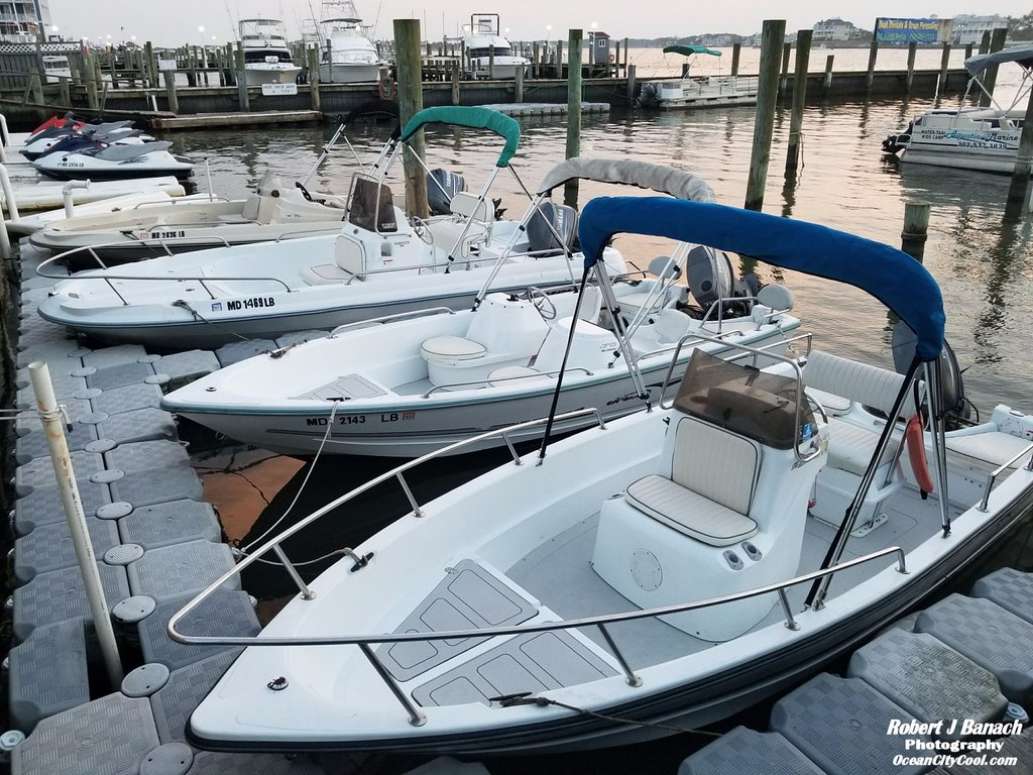 OC Bayside Rentals