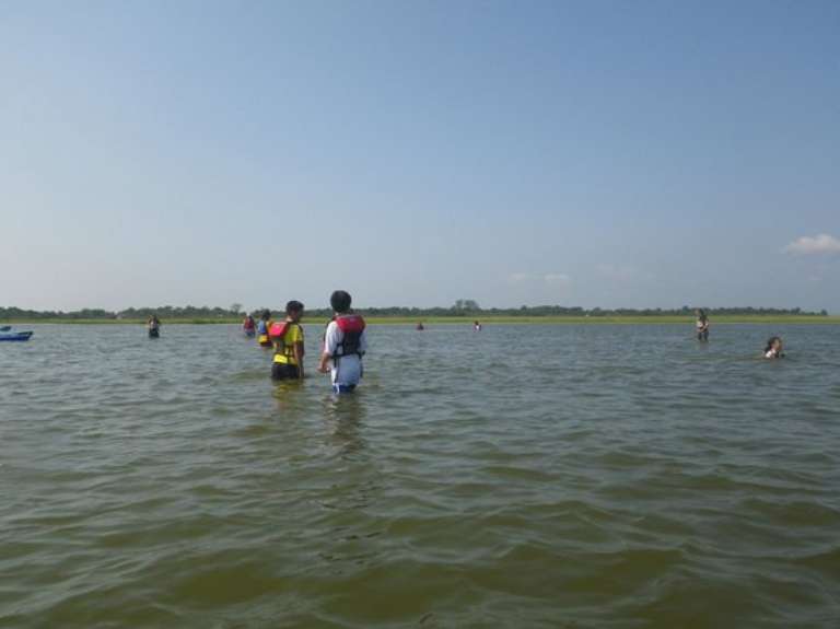 Assateague Outfitters