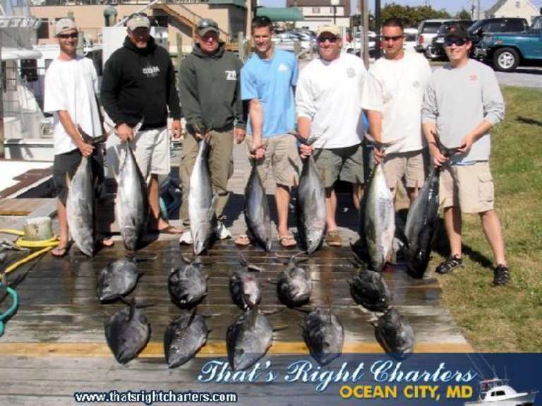 That's Right Charters