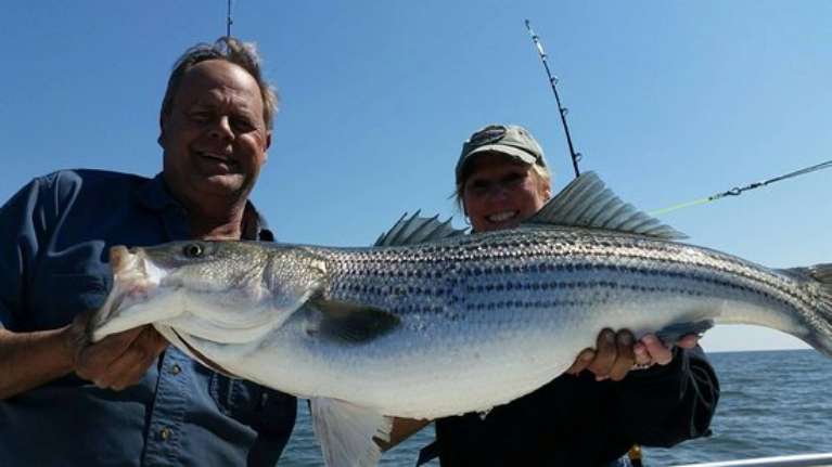 Chesapeake Bay Charter Services