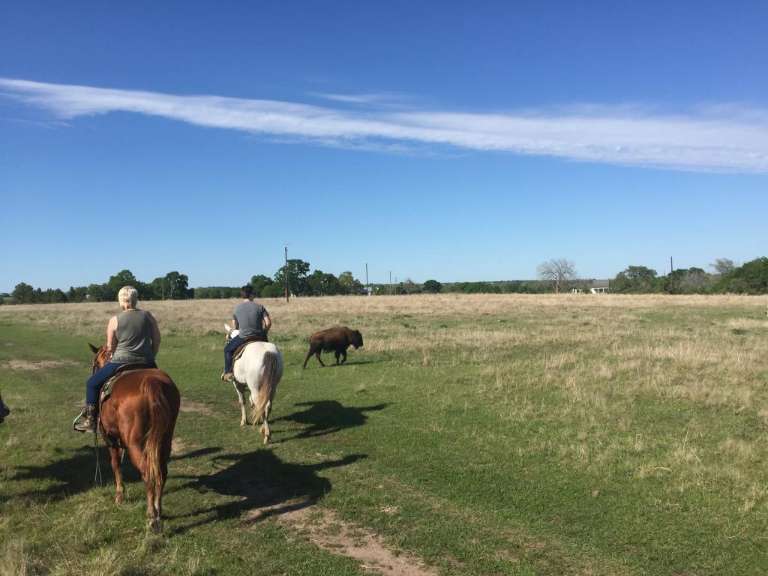 Texas Ranch Life
