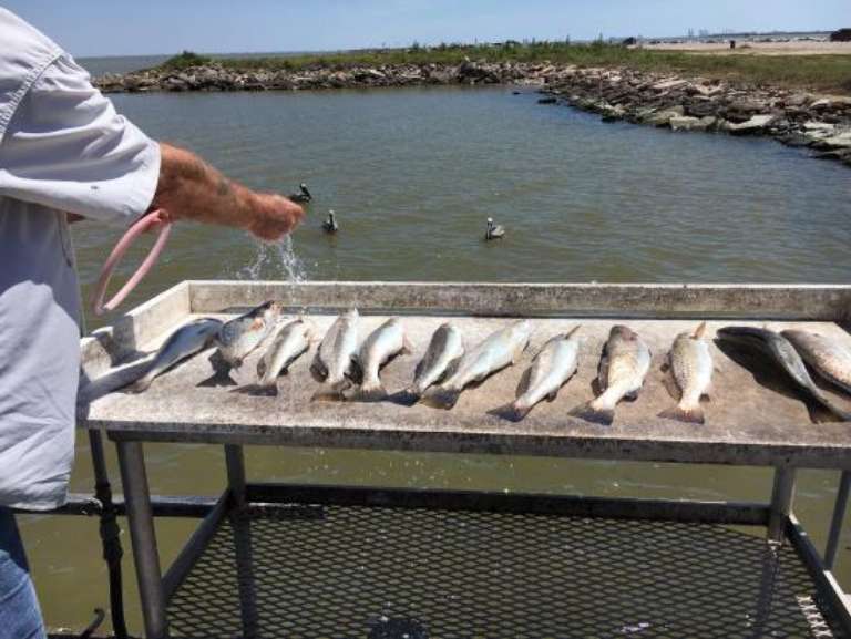 Frazier's Guide Service