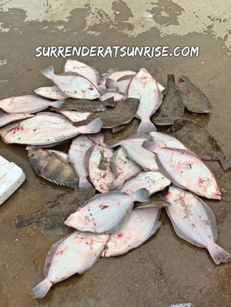 Surrender At Sunrise - Flounder Gigging Trips