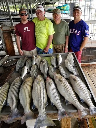 Lake Texoma Striper Guide - Fishing Freshwater Fishing Striper Fishing in  Pottsboro, Texas - Global Outdoors