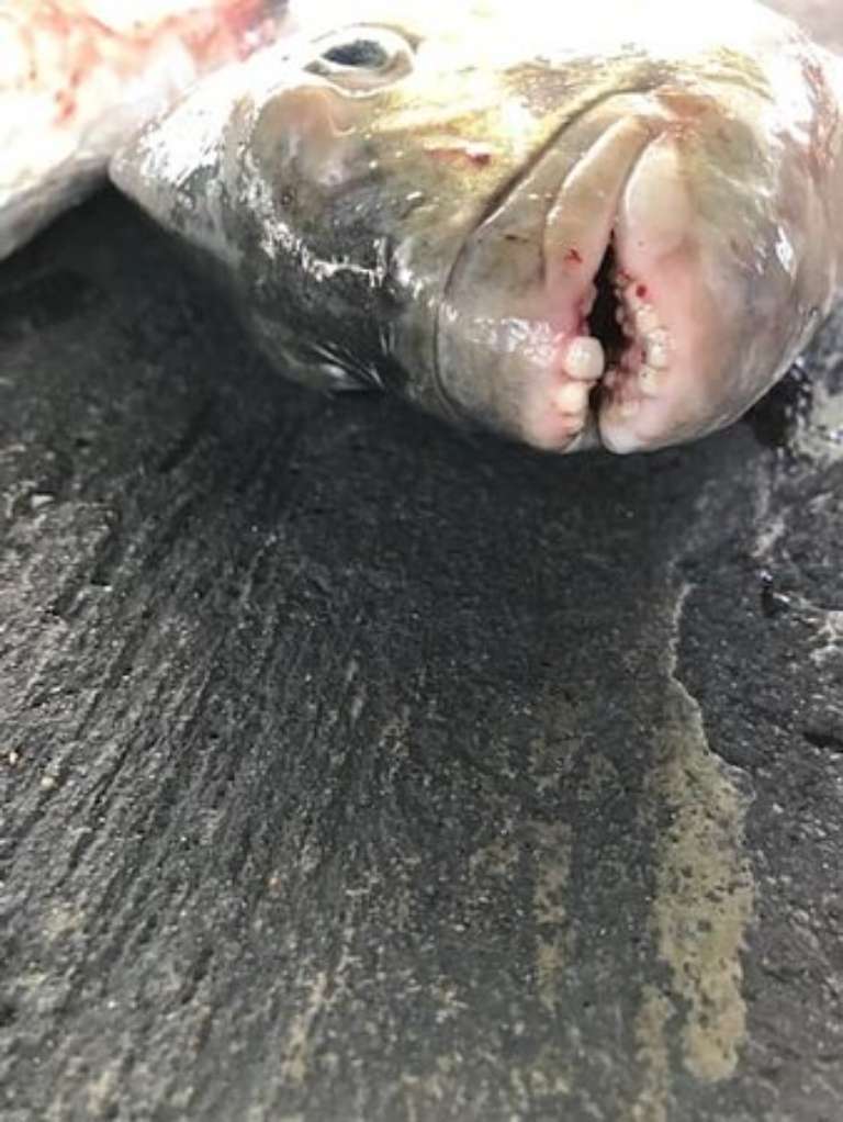 Kapt Keepers Charters