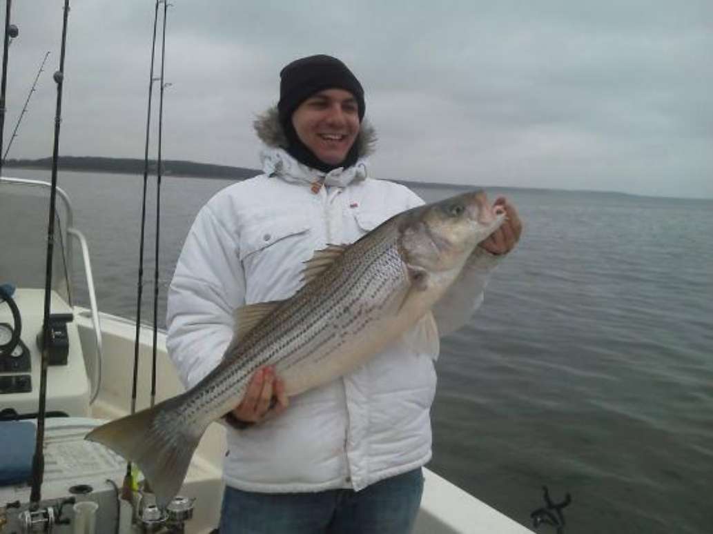 Stripers Inc