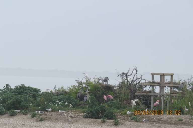 Rockport Birding and Kayak Adventures