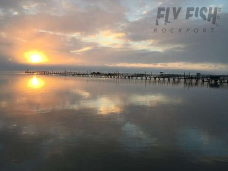 Fly Fish Rockport