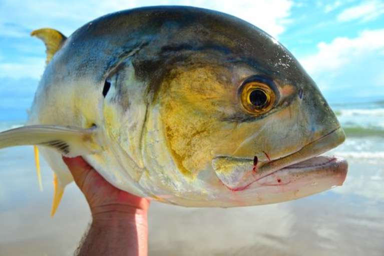 Padre Island Expeditions, LLC