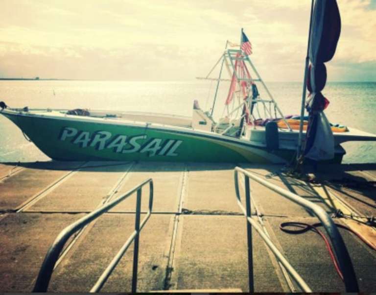 Lobo Del Mar Activities