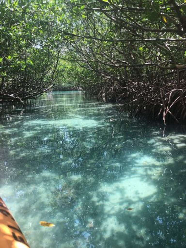 Motorized Kayak Adventures