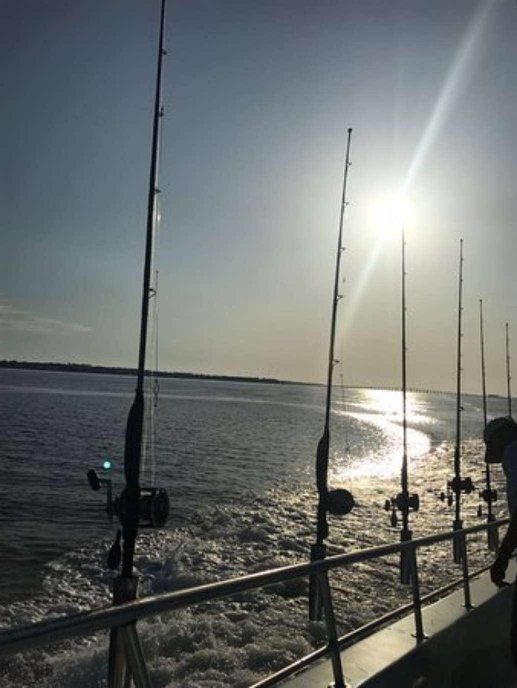 Entertainer Charters - Day Trips