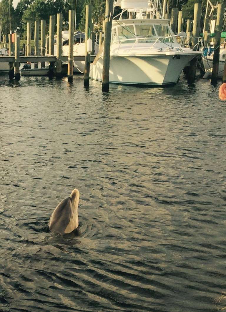 Port Saint Joe Marina