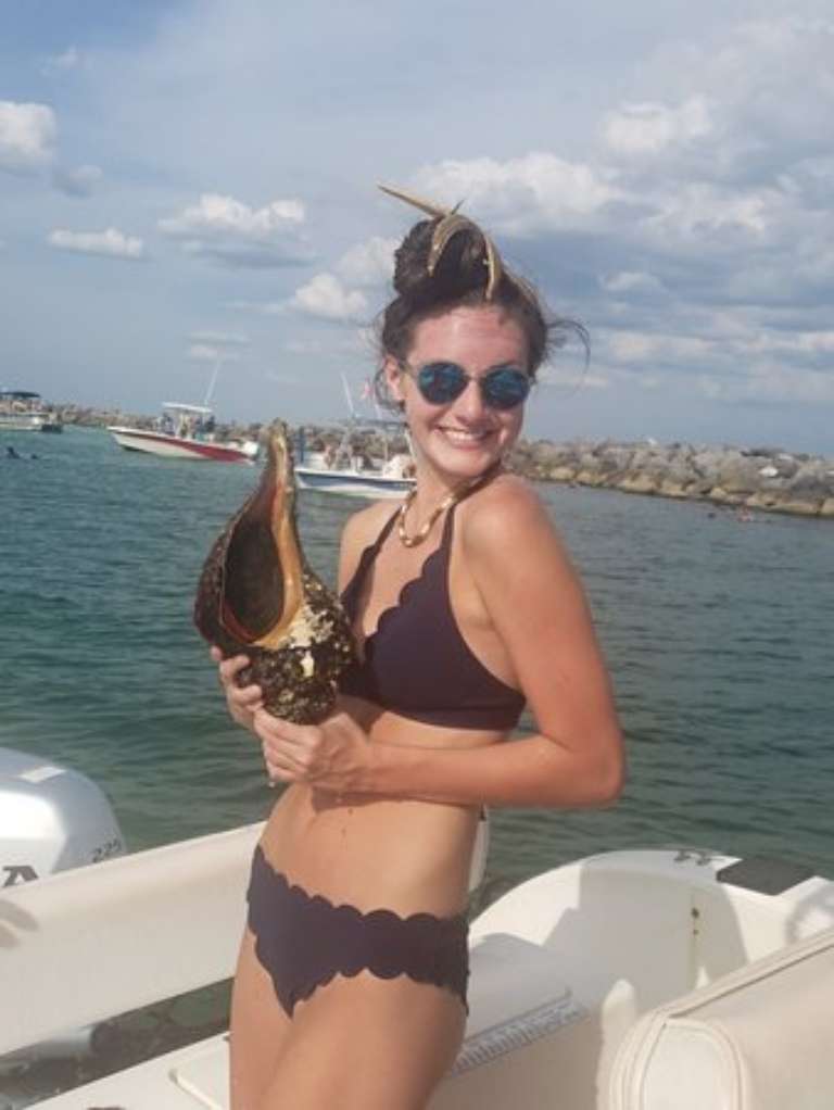 Panama City Dolphin Seafari