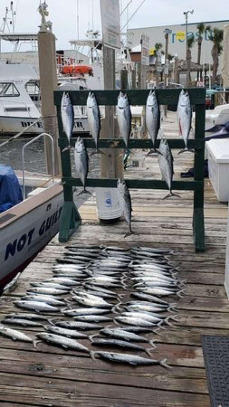 Gotta Believe Charters