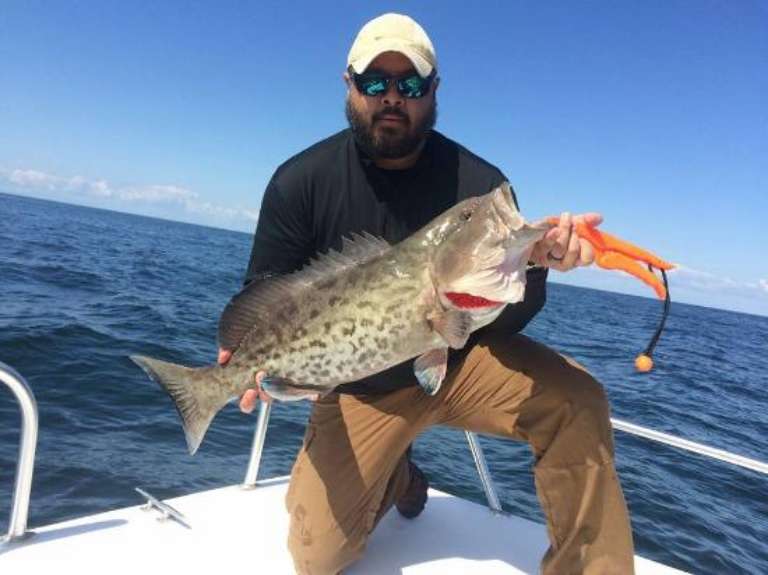 Bite Back Fishing Charters