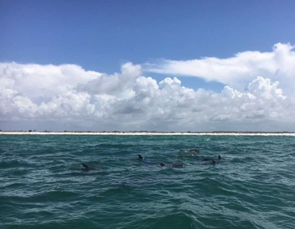 Capt Salty Charters