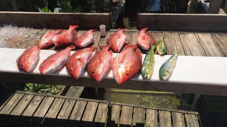 Fish Frenzy Charters