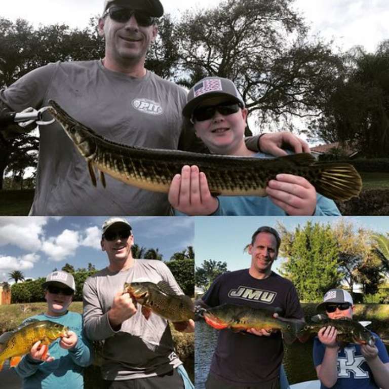 Peacock Bass Fishing