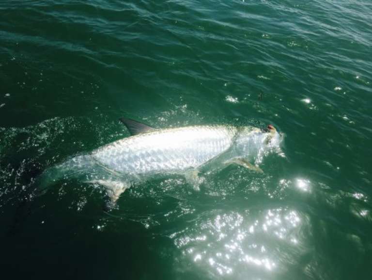 All Three Sides Charters