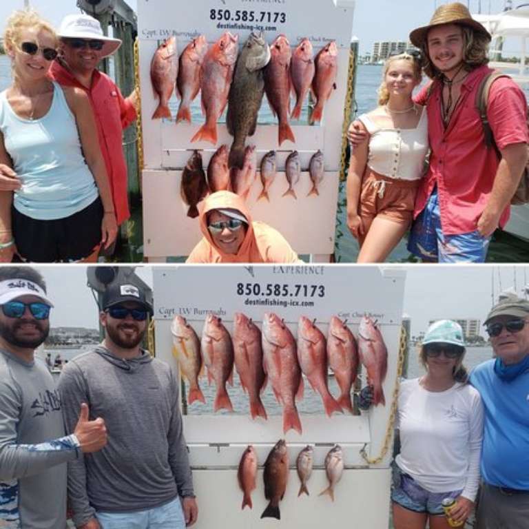 Intracoastal Experience