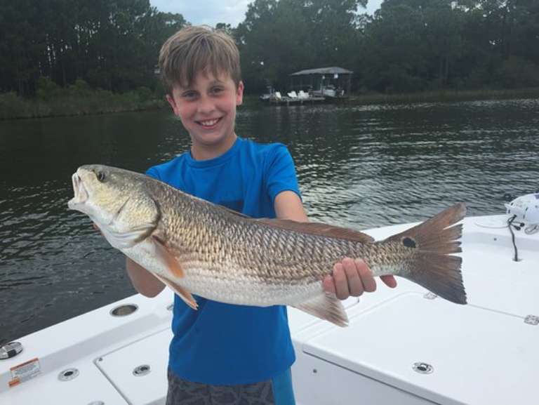 Southern Renegade Charters