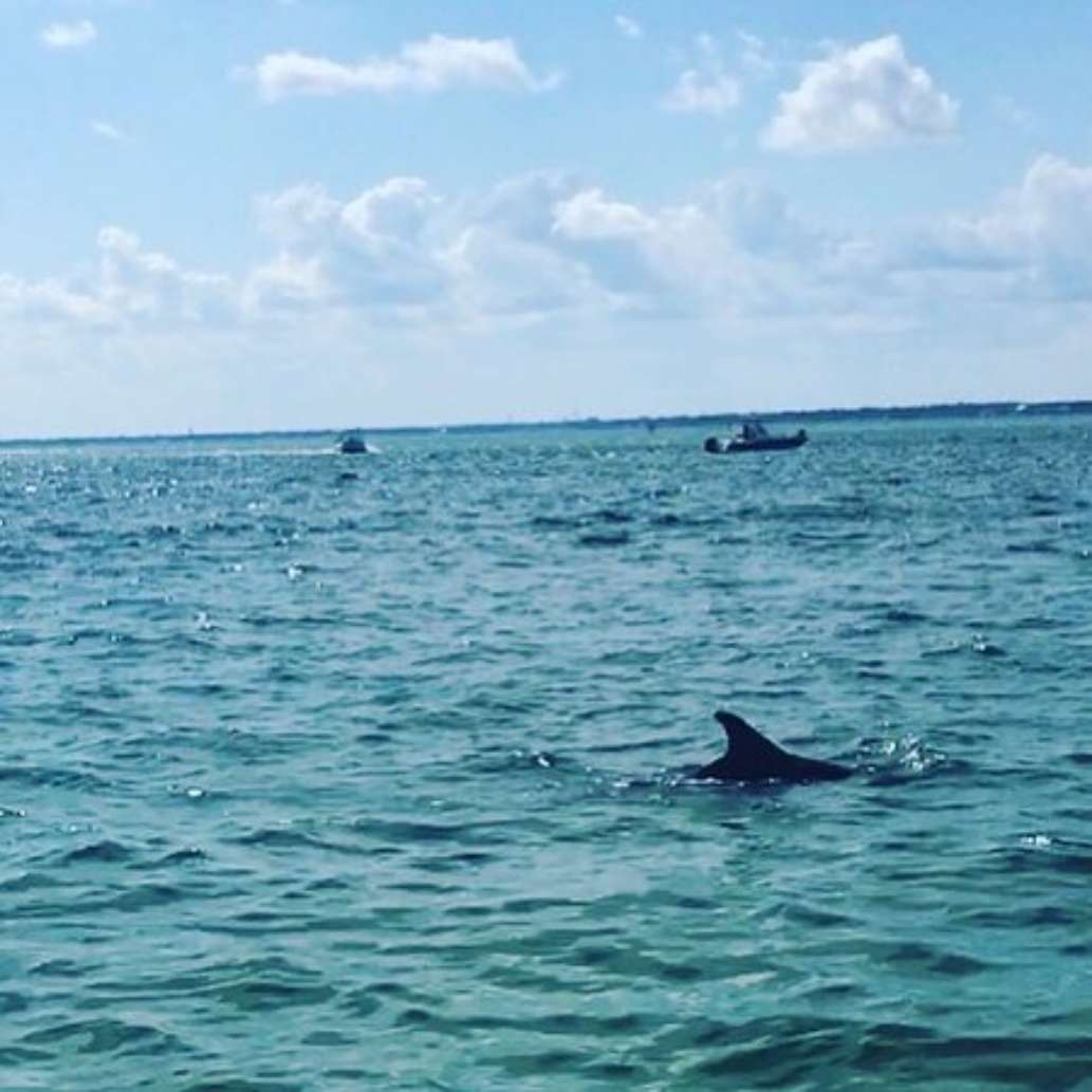Destin Vacation Boat Rentals
