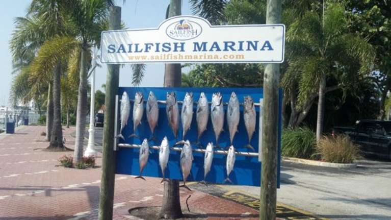 Sailfish Marina Resort - Sightseeing Tours