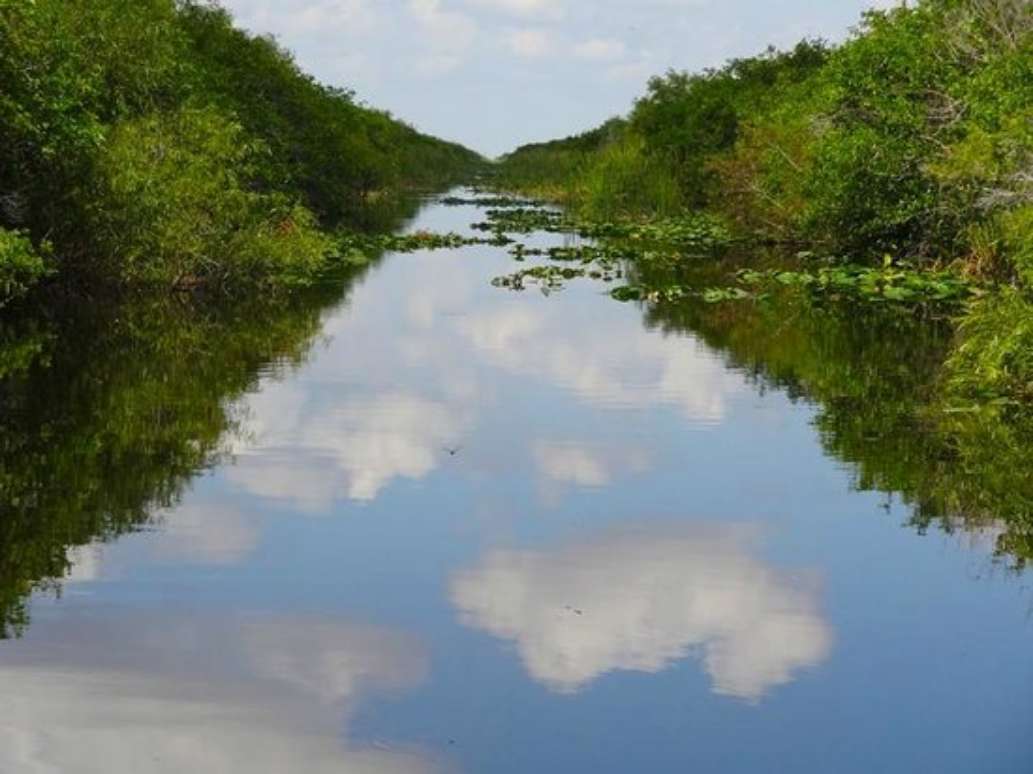 Cypress Airboats