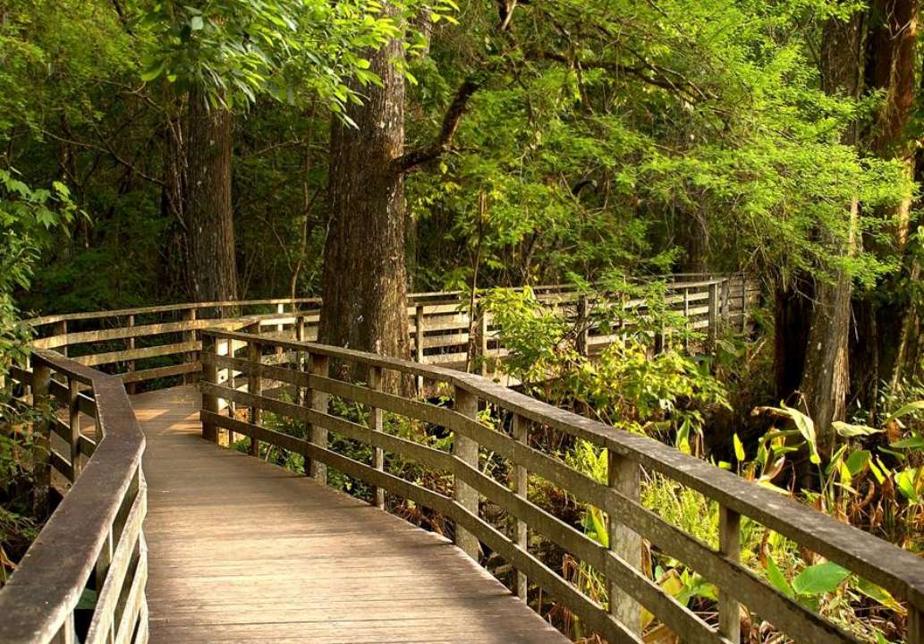 Corkscrew Swamp Sanctuary