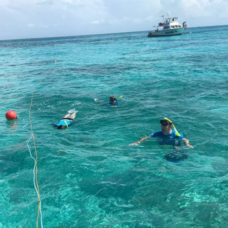 Paradise Below Diving