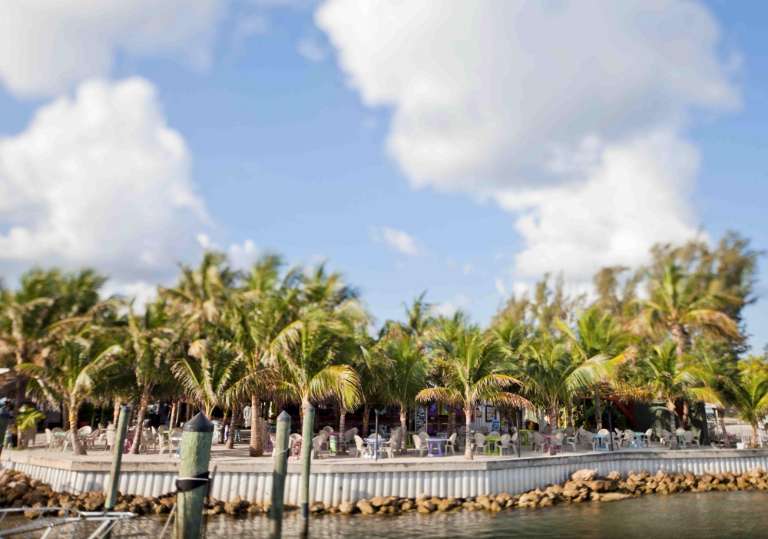 Square Grouper Tiki Bar