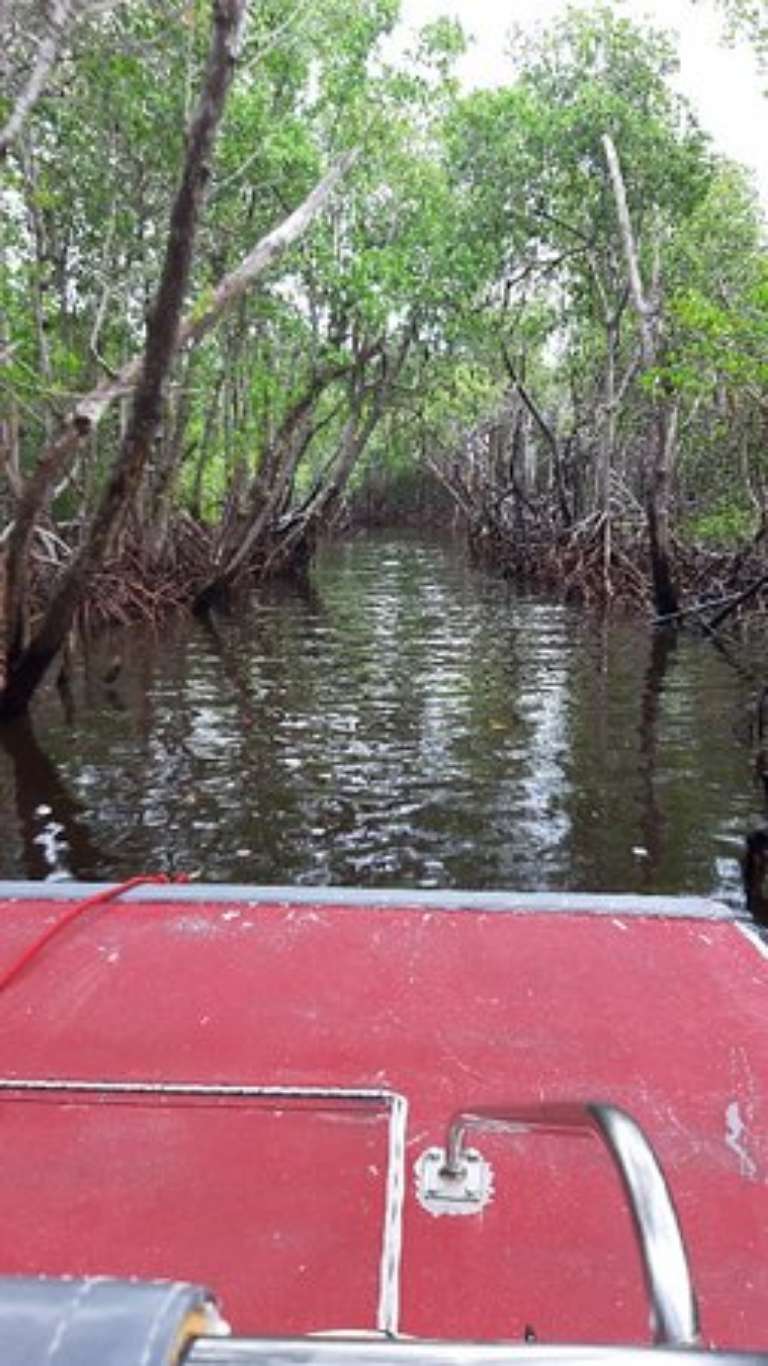 Captain Jack's Airboat Tours
