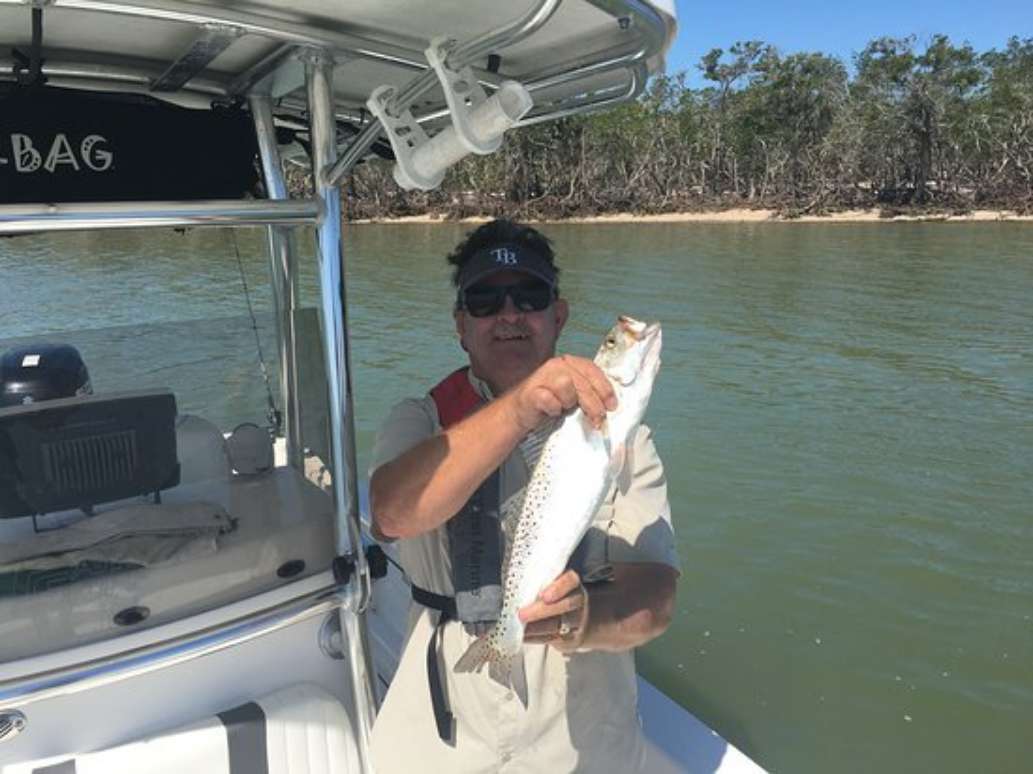 Everglades Area Boat Tours