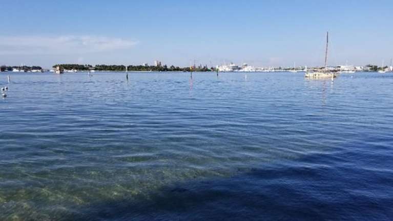 Blue Heron Bridge Scuba