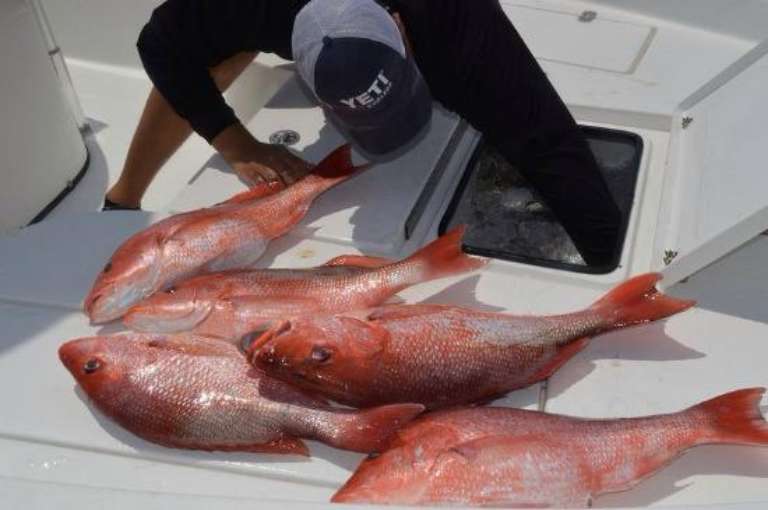 Buck Wild Inshore Fishing Charters