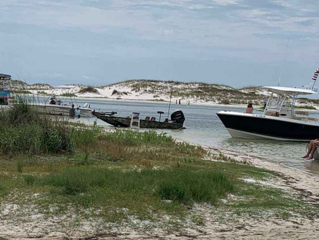 Back Bay Charters