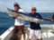 FoxSea Charters