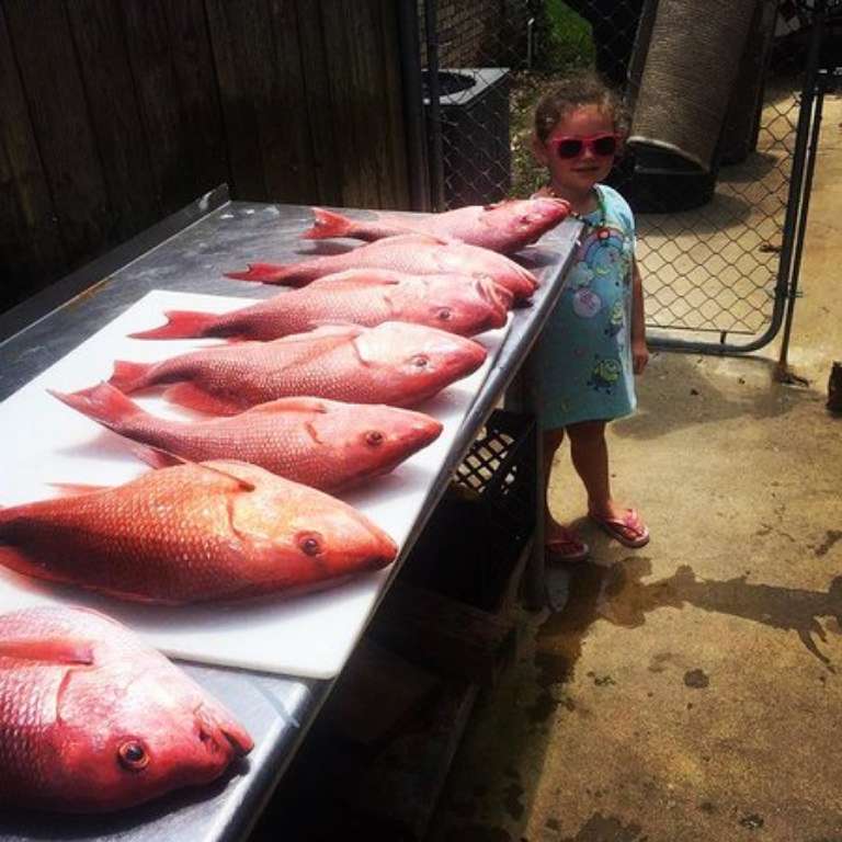 Recess Fishing Charters