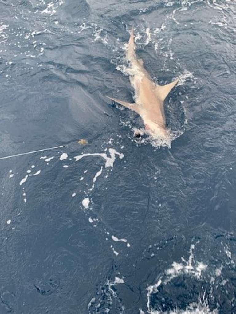 New Lattitude Sportfishing